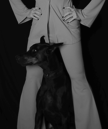 Jamie Doberman