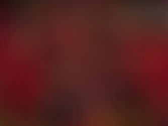 Predators Of The City V 世界を変える創作写真の世界