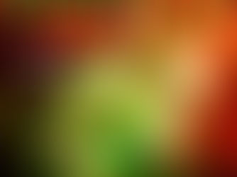 Melissa Ruiz talks about female empowerment.