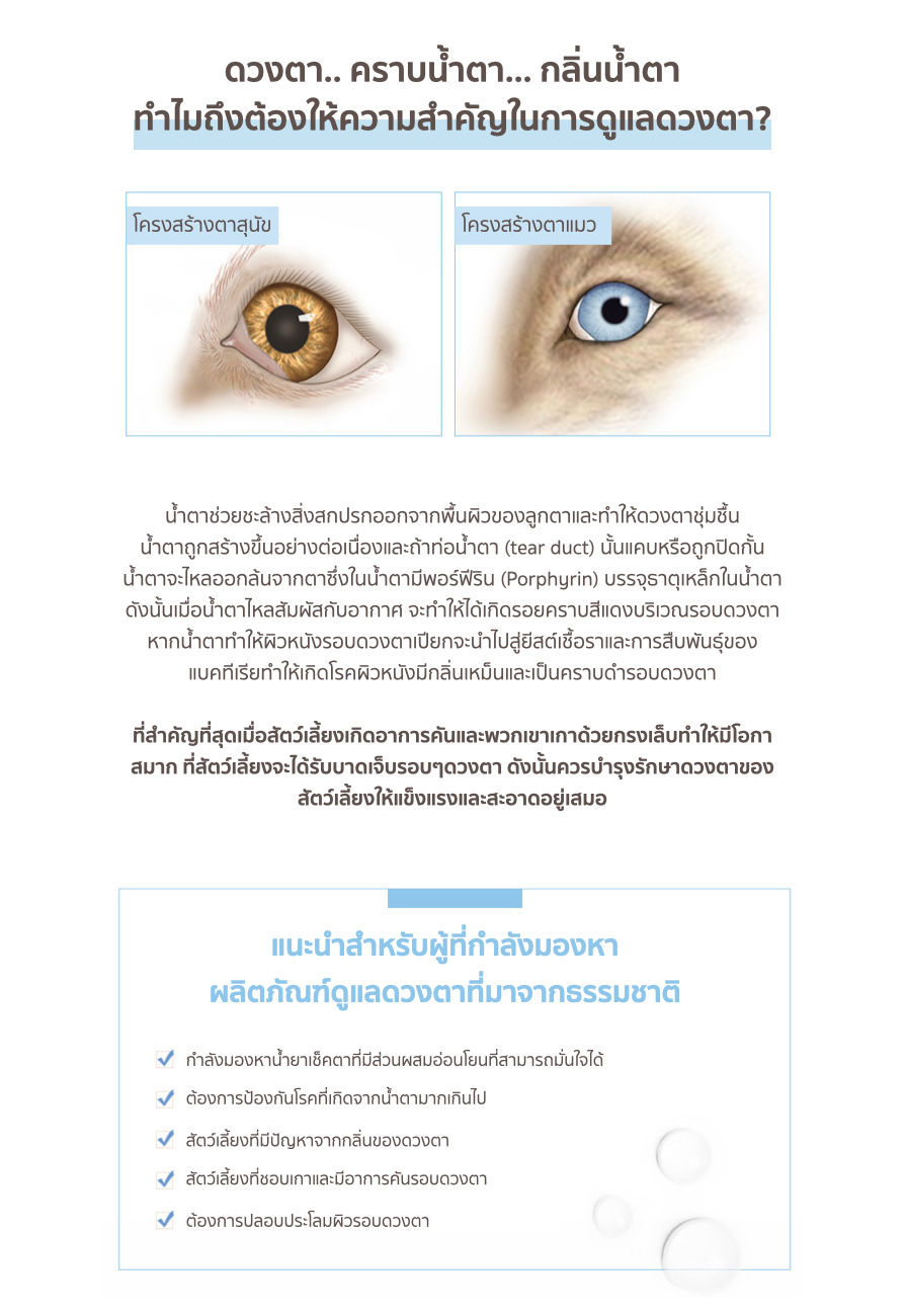 Q.eye.002.jpeg