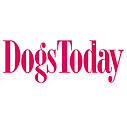 dogs-today.jpg