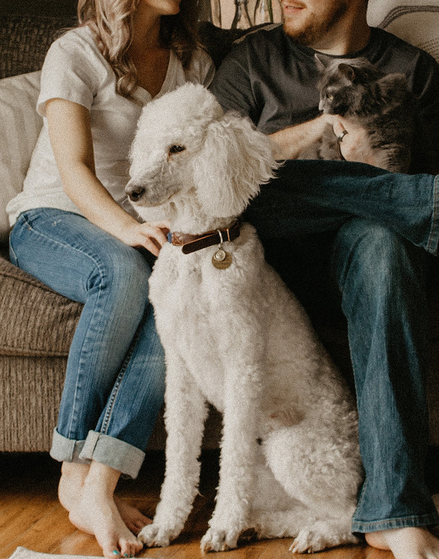 sarandy-westfall-666700-unsplash.jpg
