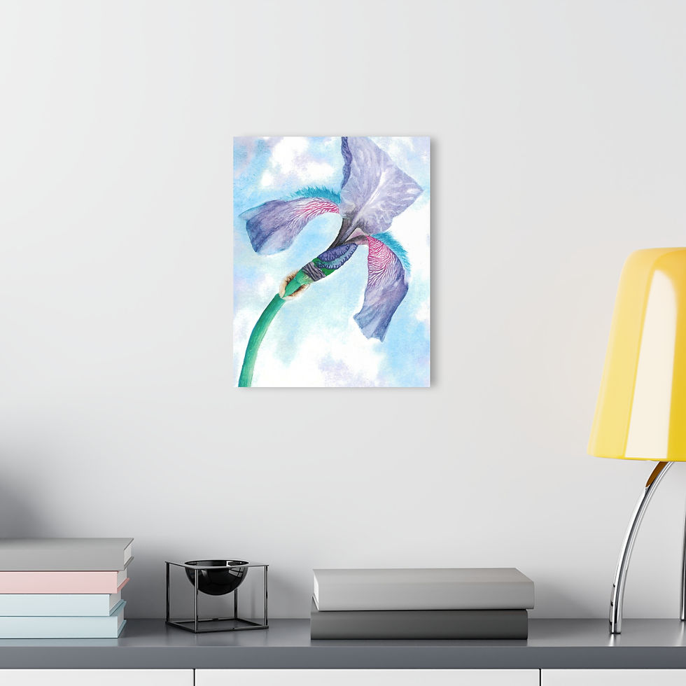 Thumbnail: Floral "The Iris" Acrylic Wall Art Print by Artist David P.
