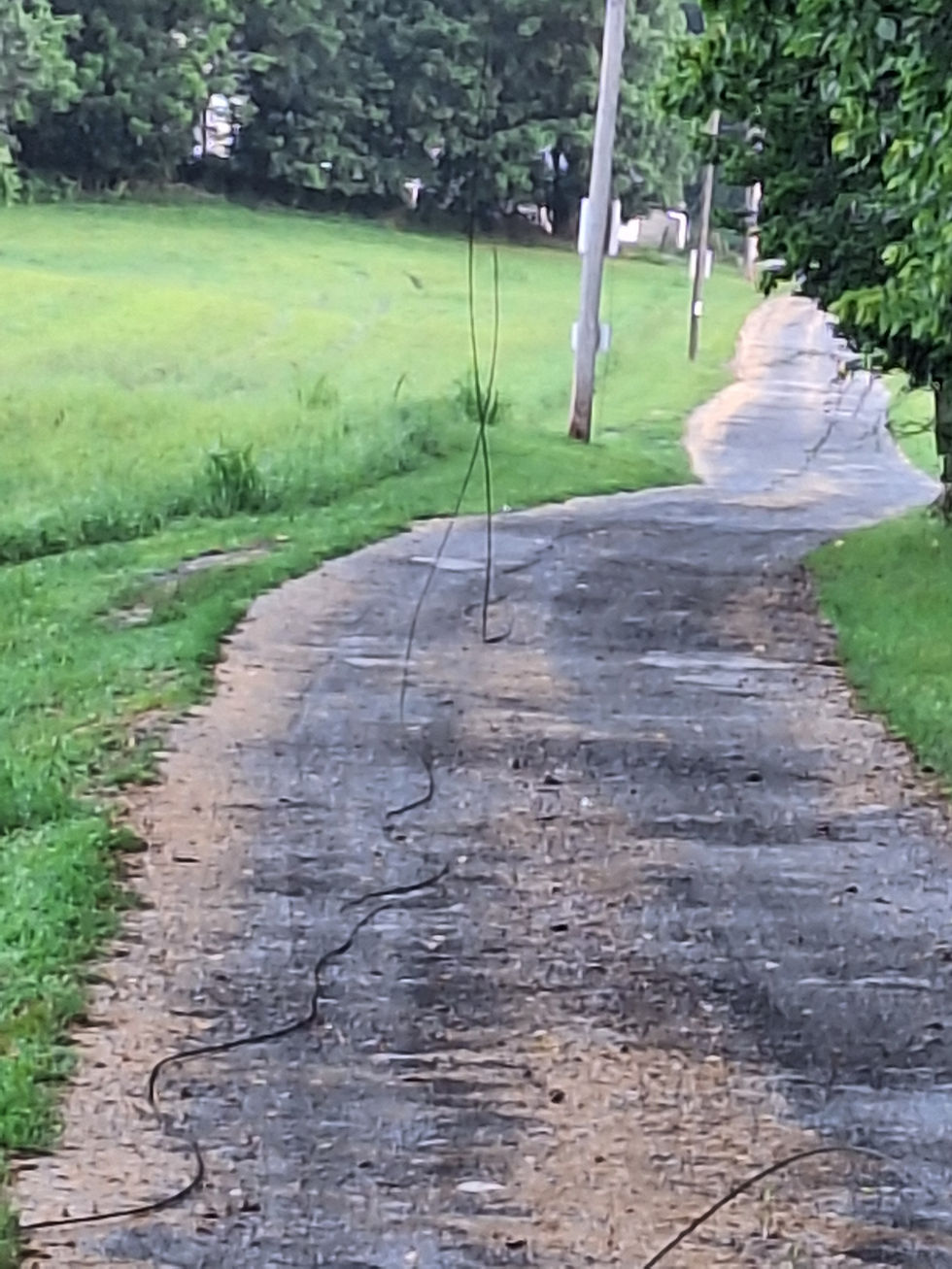 Wires down!!!