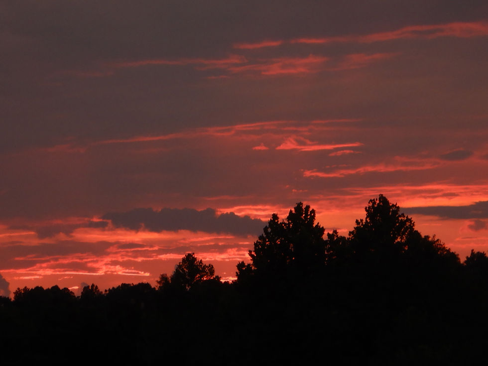 Another of our gorgeous sunsets...