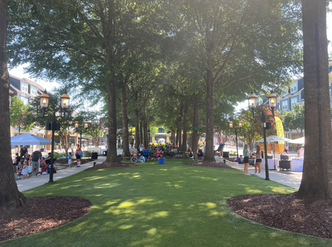 Birkdale Village Commons