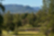 Grand Pacific Ride