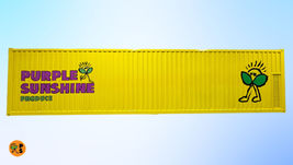 Fresh Greens in Your Neighborhood: How Hydroponic Shipping Containers are Revolutionizing Urban Farming