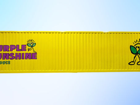 Fresh Greens in Your Neighborhood: How Hydroponic Shipping Containers are Revolutionizing Urban Farming