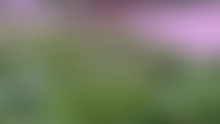 What's Local Produce? The Answer Might Surprise You. 