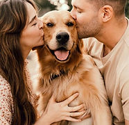 Soins doux animaux et humains