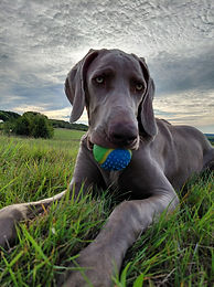 20250928_181137 (1).jpg