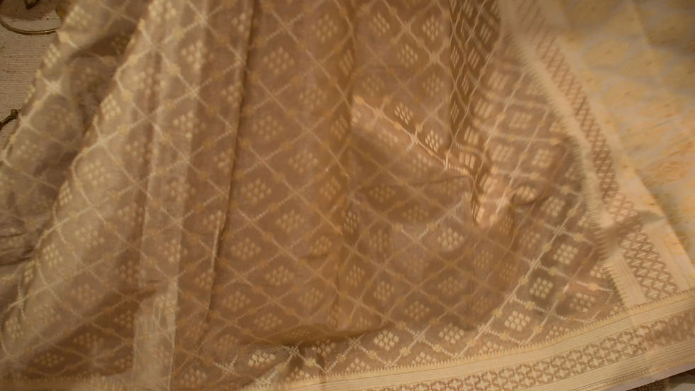 Thumbnail: Banarasi Tissue Jamdani
