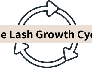 Understanding the Eyelash Growth Cycle / Lash Cycle