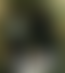 Black Rabbit (2025) Series - Serves Tension, Dysfunction, and a Side of Dread