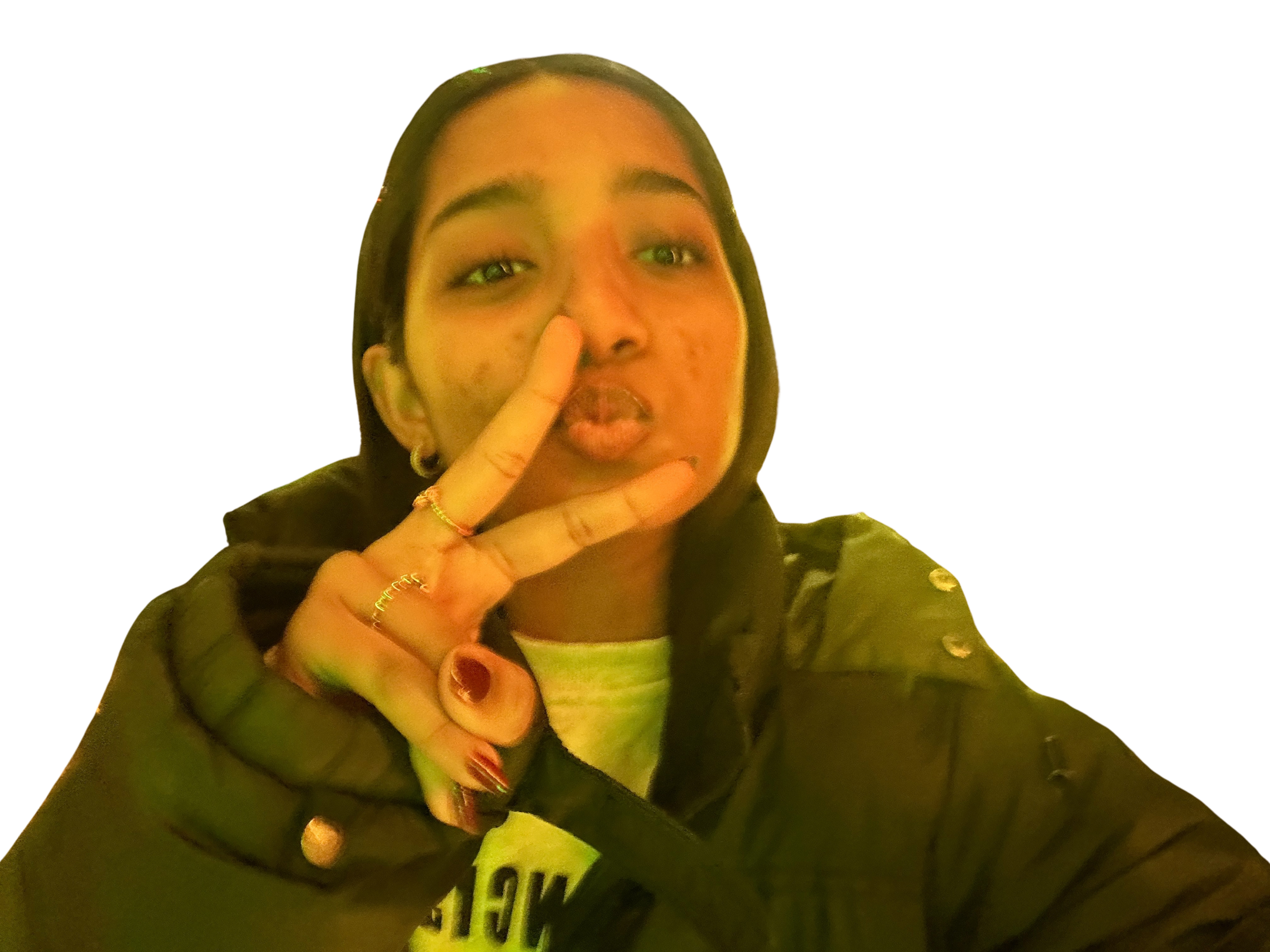 Writer: Joann Blessen