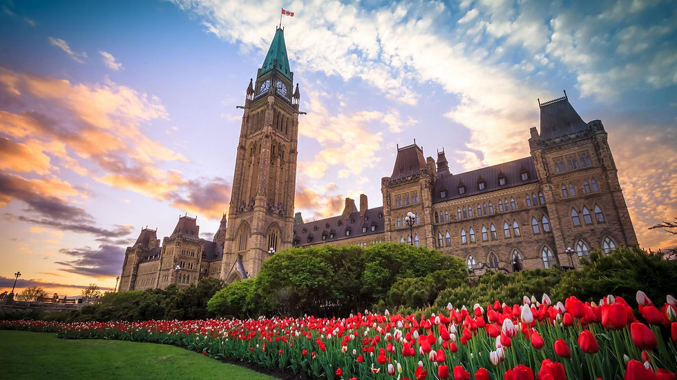 Ottawa 50.jpg