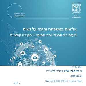אלימות במשפחה והגנה על נשים: אלימות כלכלית, מינית, פיזית, נפשית והזנחה – סקירה עולמית של שיטות התמודדות
