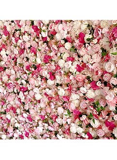 Blush Pinks Floral Wall