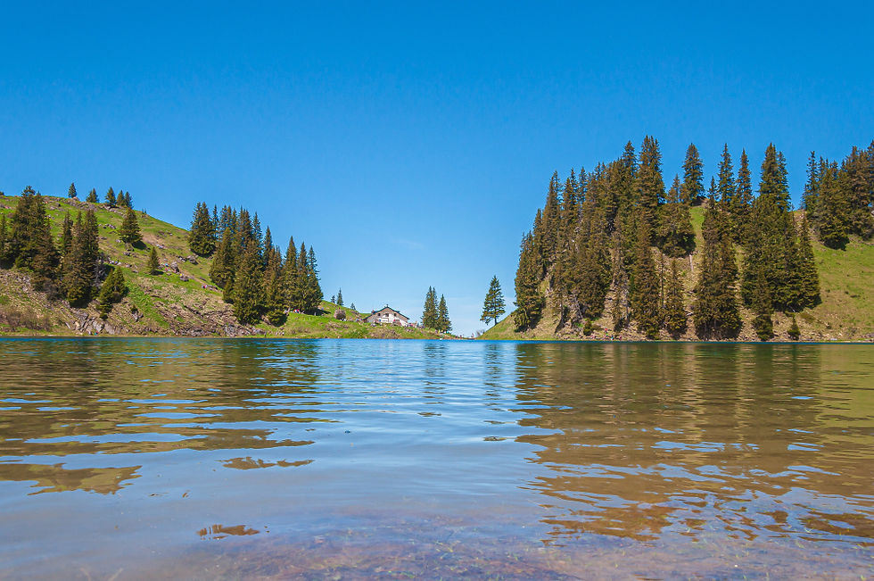 Island Park idaho resorts- Blue buffalo