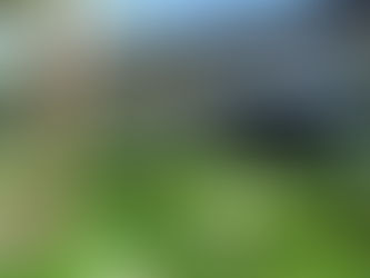 Município de Luziânia Decreta Ponto Facultativo na Sexta-feira (17)