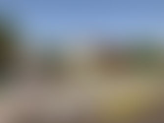 Condomínios horizontais se destacam por mais segurança e liberdade para as famílias