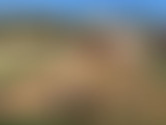 Day 15: Santander – Mar (27,4k)