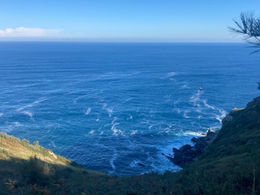 Bonus Post: First Fortnight Review