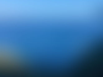 Bonus Post: First Fortnight Review