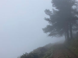 Day 32: Borres to Berducedo (26,5k, but OVER A MOUNTAIN)