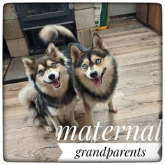 Maternal Grandparents