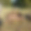 Thumbnail: (REF:N155) / Dam Scoop 🚜