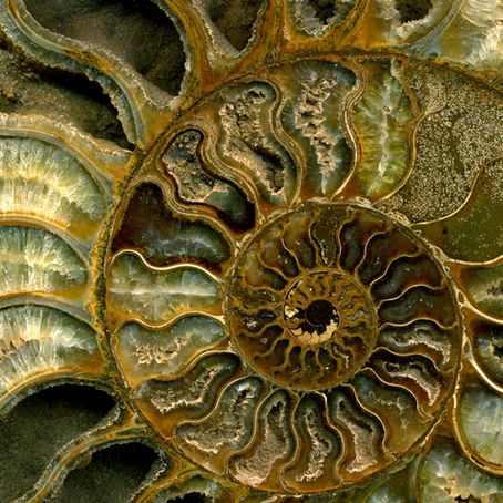 Immagine di un frattale per raccontare i contenuti del Plenilunio in Gemelli