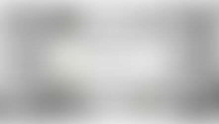 Novilunio in Acquario | 01.02.22