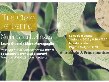 Volantino dedicato a una passeggiata di conoscenza in natura, con fotografia ravvicinata di una pianta di salvia dai toni verdi e argentati. L’immagine evoca un’atmosfera naturale, calma e sensoriale, legata alla scoperta delle erbe spontanee e del paesaggio.