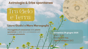 29 giugno: Astrologia & Erbe spontanee. Passeggiata di conoscenza in Brianza