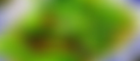 タイ料理で「プチ・タイ旅行」