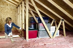 attic storage.jpg