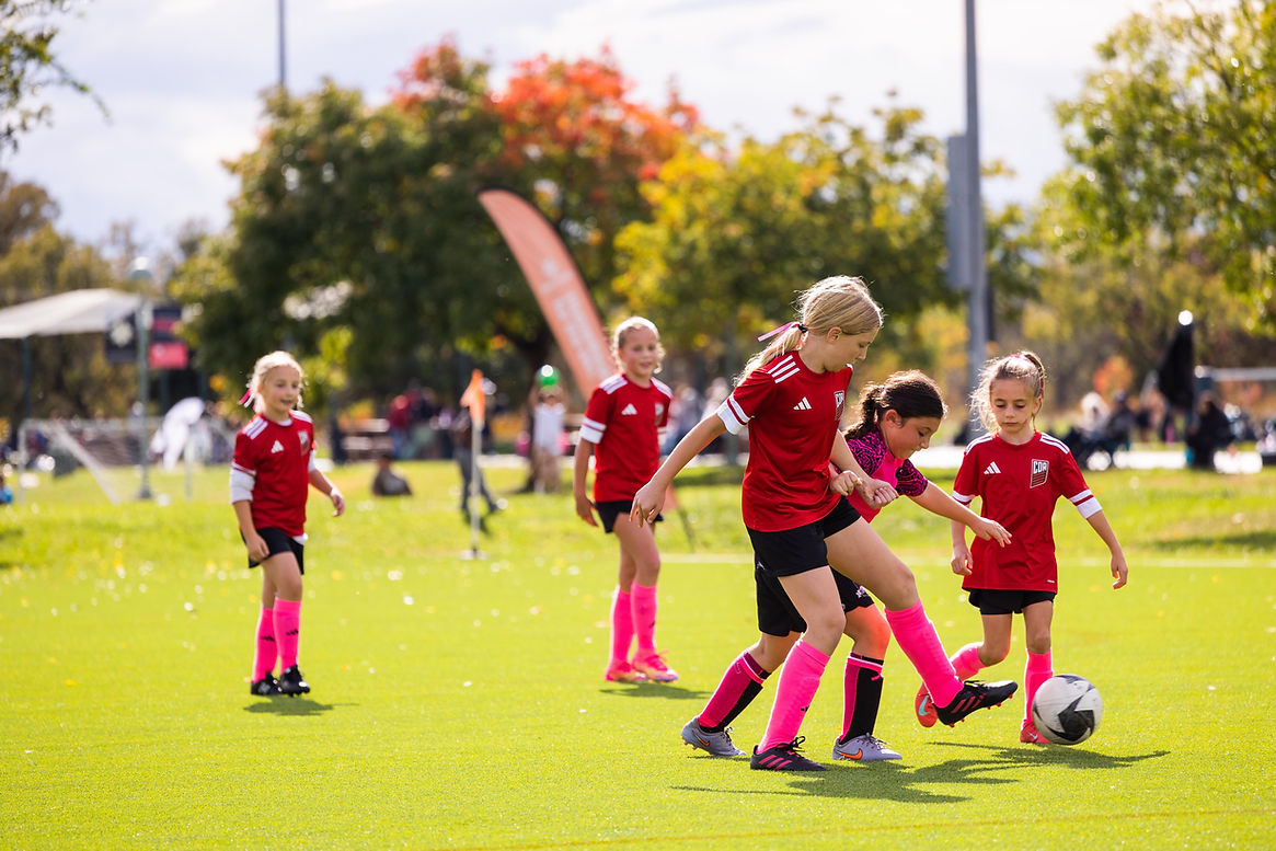 WebMadeLocal.com-1008.jpg
