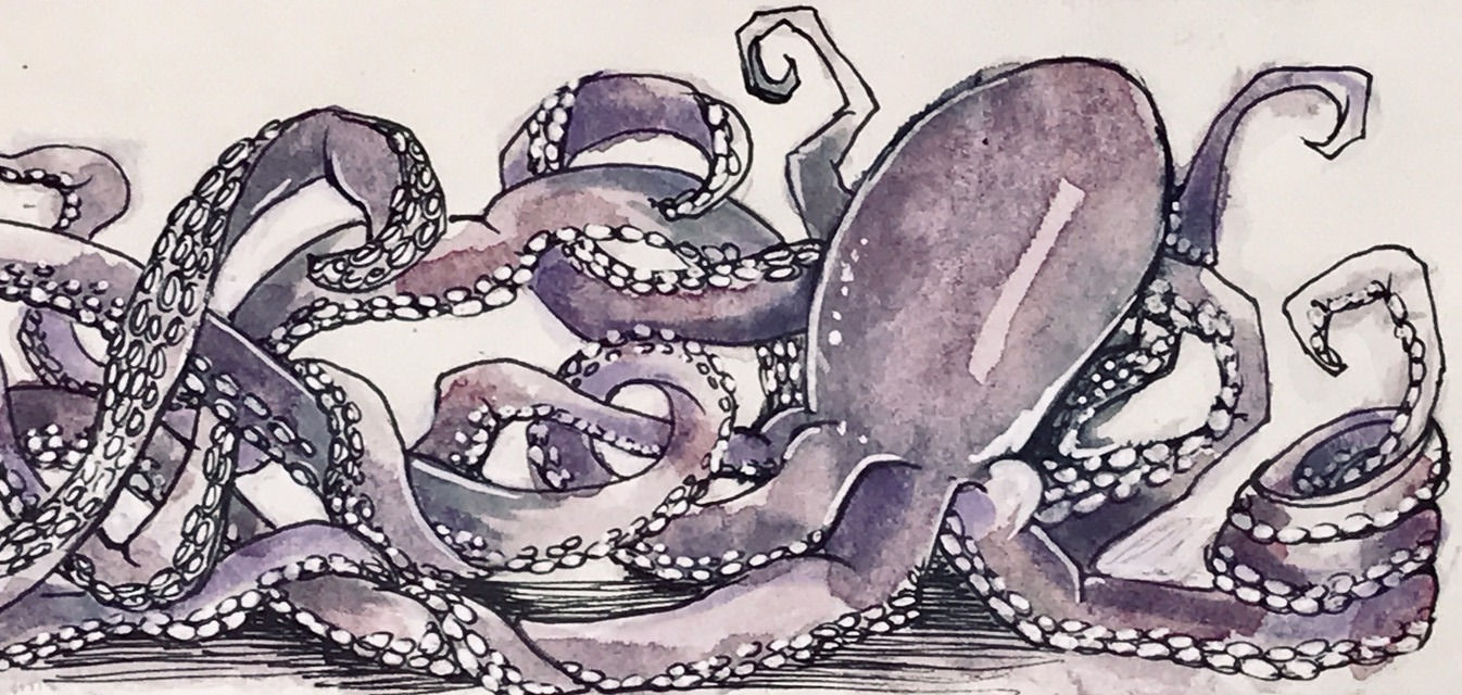 "Octopus"