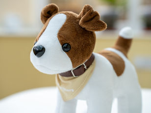 Dedicated nursing trio win a Nettie for demonstrating our values