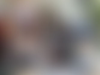 Nurses take centre stage at VetPartners Ireland CPD event