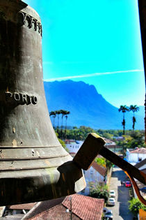 WhatsApp Image 2021-11-04 at 15.47.15.jpeg