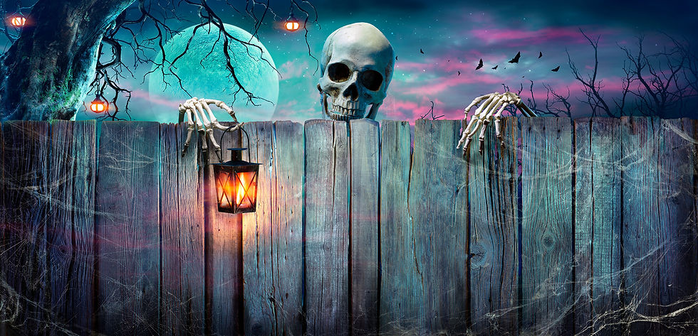 Skeleton peeks over wooden fence with lantern, under a full moon and pink sky. Bats fly in the background among bare trees, creating a spooky vibe.