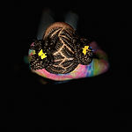 IMG_0027.jpeg