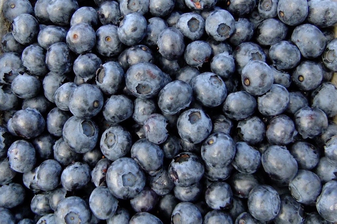 Greater Hammonton Chamber of Commerce