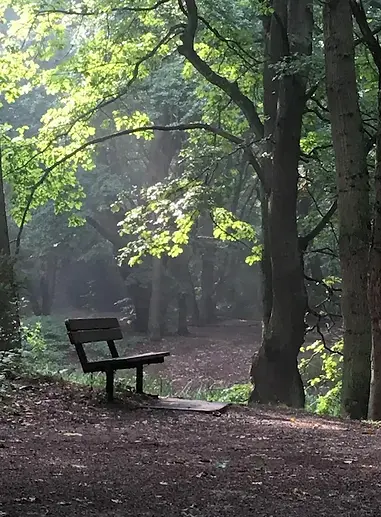 outdoor psychotherapy.webp