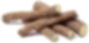 Glycyrrhiza glabra(Fabaceae)- Yashtimadhu