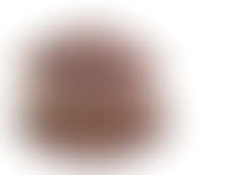 Brassica juncea(Brassicaceae) - Brown mustard