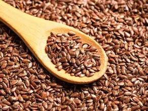 Linum usitatissimum(Linaceae)- Flax seed